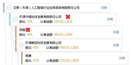 艾泰 天津 人工智能行业应用系统有限责任公司